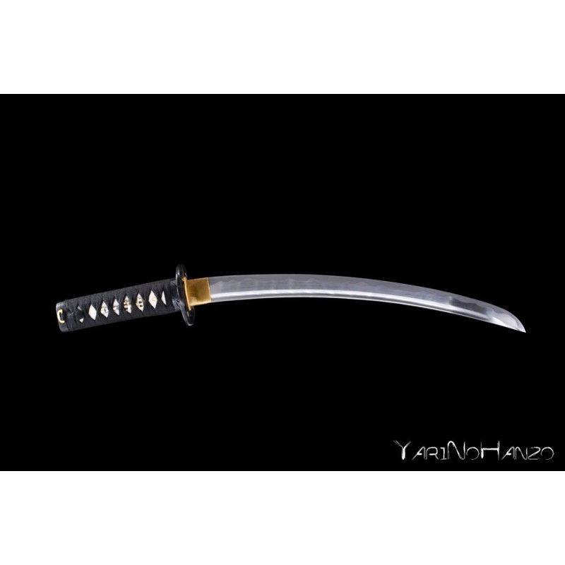 ISHIKAWA WAKIZASHI SHINKEN - EXTRA SORI