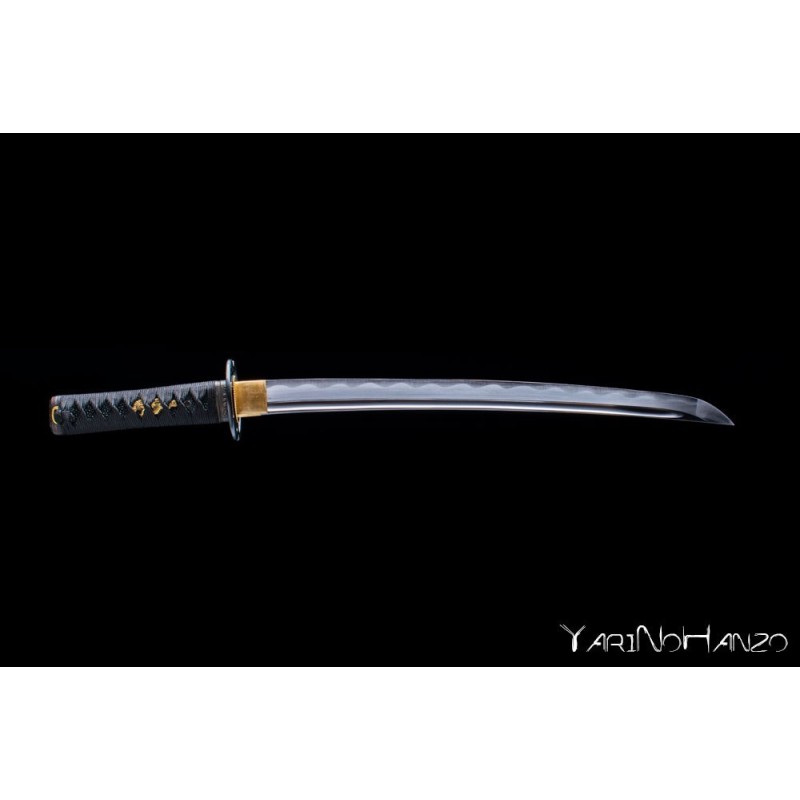 Musashi Wakizashi Shinken