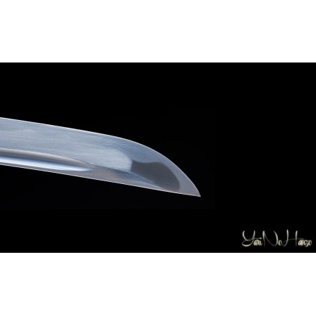 KIMOTSUKI IAITO KATANA | SAMURAISCHWERT | HANDGEFERTIGT