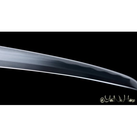 JINTACHI IAITO | SAMURAISCHWERT | HANDGEFERTIGT