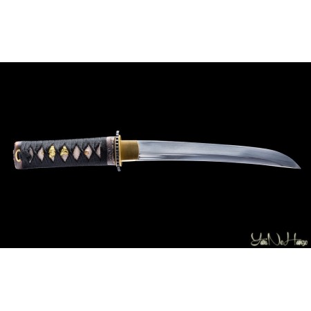 Kunishi Tanto