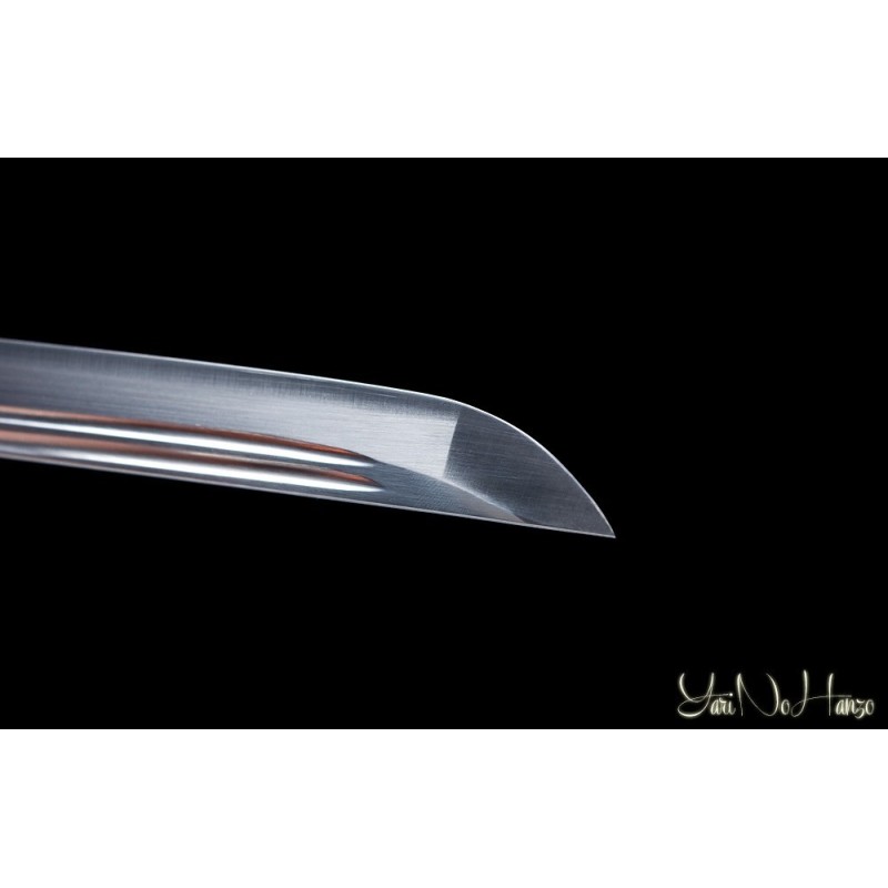 SHINDEN FUDO RYU IAITO KATANA | SAMURAISCHWERT | HANDGEFERTIGT