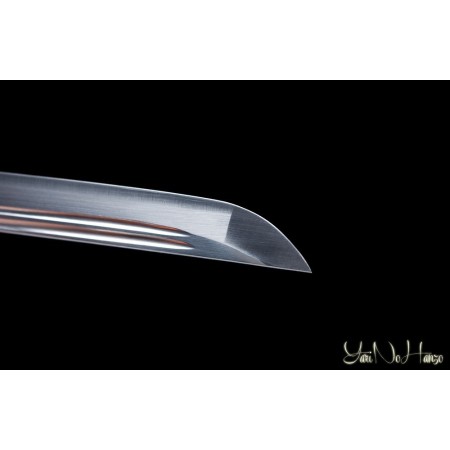 SHINDEN FUDO RYU IAITO KATANA | SAMURAISCHWERT | HANDGEFERTIGT