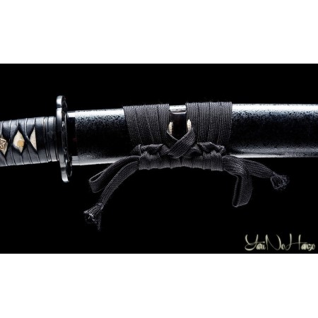 SHINDEN FUDO RYU IAITO KATANA | SAMURAISCHWERT | HANDGEFERTIGT