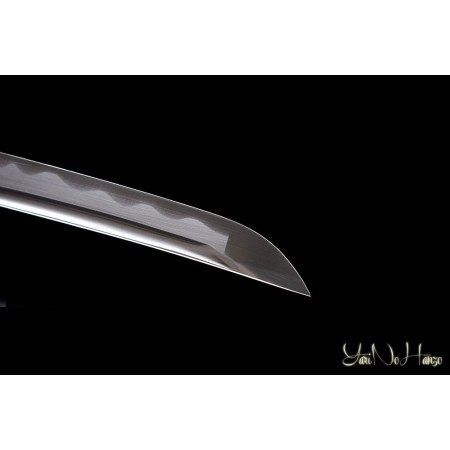 TAIRA IAITO GENERATION 2 | SAMURAISCHWERT | HANDGEFERTIGT