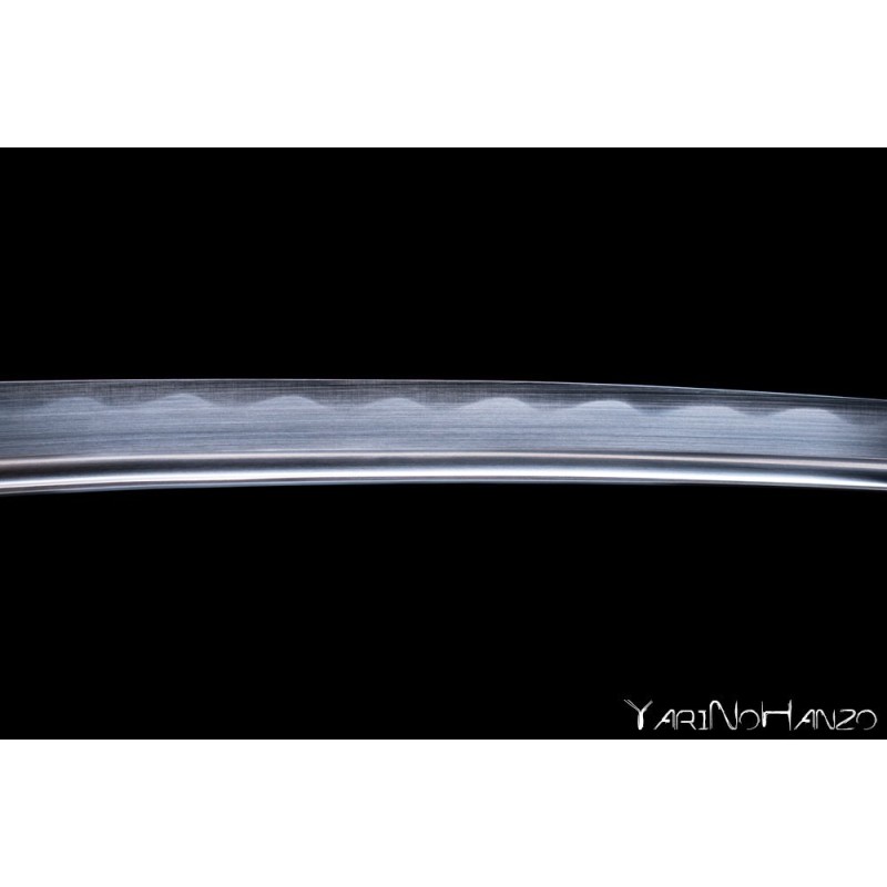 Asakura Wakizashi Shinken