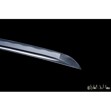 MUSASHI IAITO KATANA | SAMURAISCHWERT | HANDGEFERTIGT