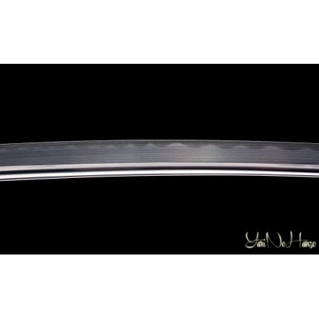 HIGO KOSHIRAE IAITO GENERATION 2| SAMURAISCHWERT | HANDGEFERTIGT