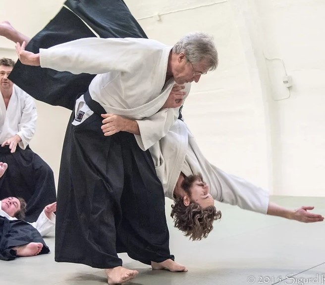 Las ‘escuelas’ de Aikido