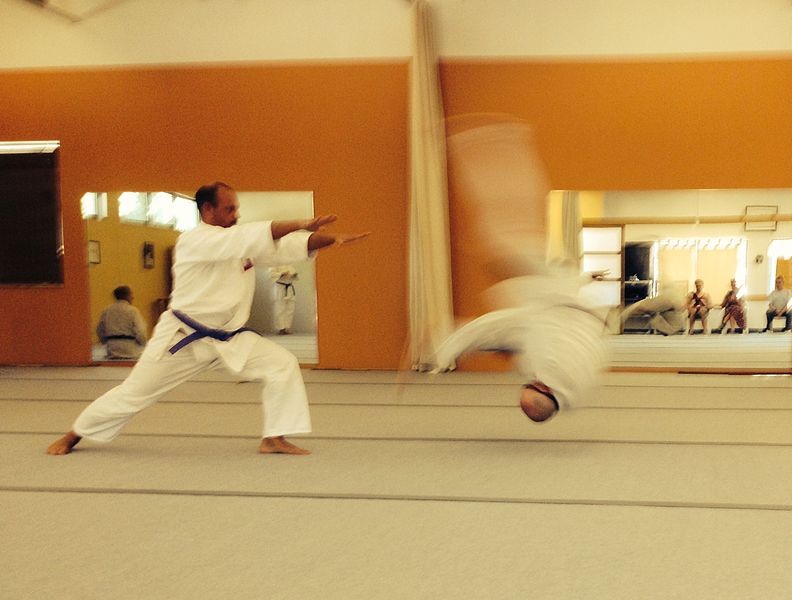 Las principales diferencias entre aikido y kárate
