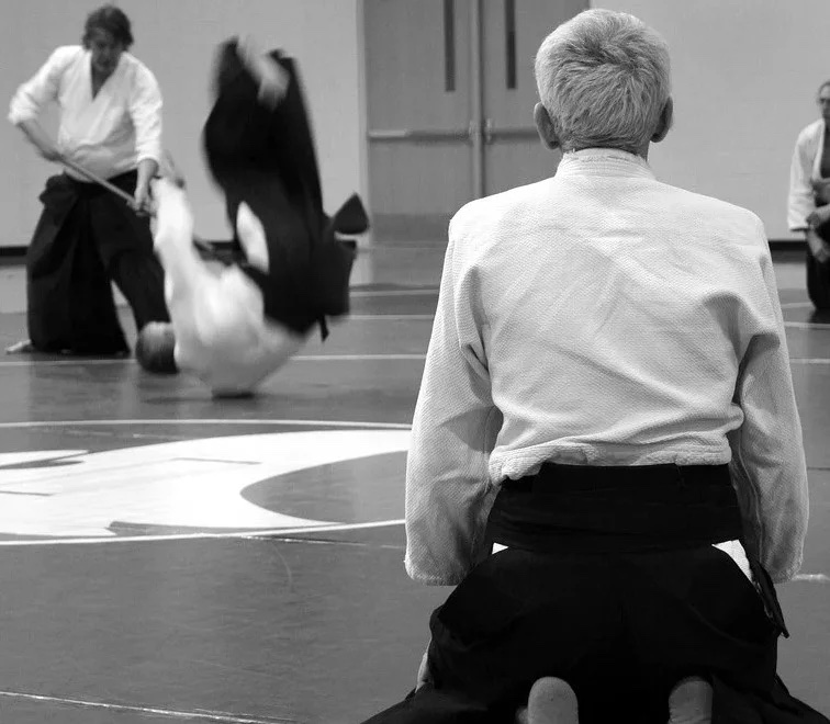 Para qué sirve el aikido